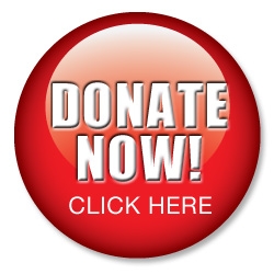 Donation Link