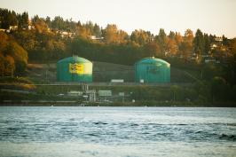 stop the tar sands