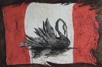 Bill C-38 Affects on Environment