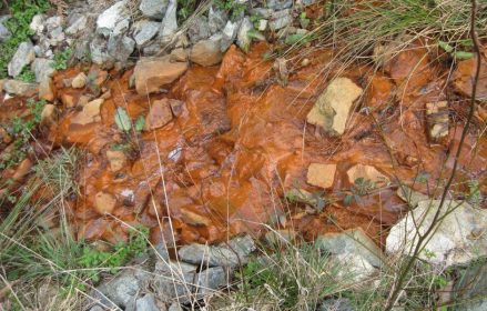 Cowichan contaminated soil