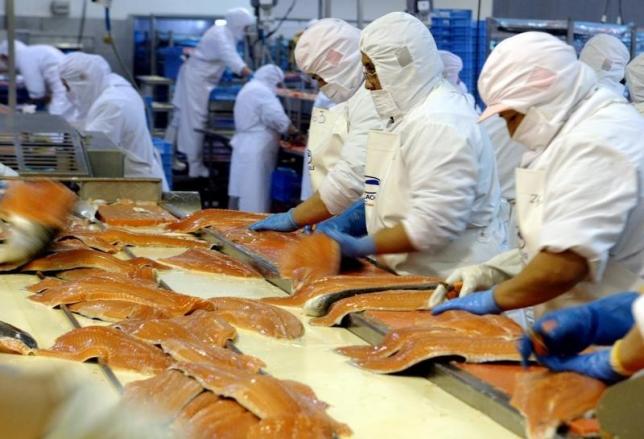 Fish plant workers