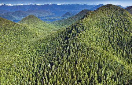 Clayoquot Sound | Photo: Bonny Glambeck