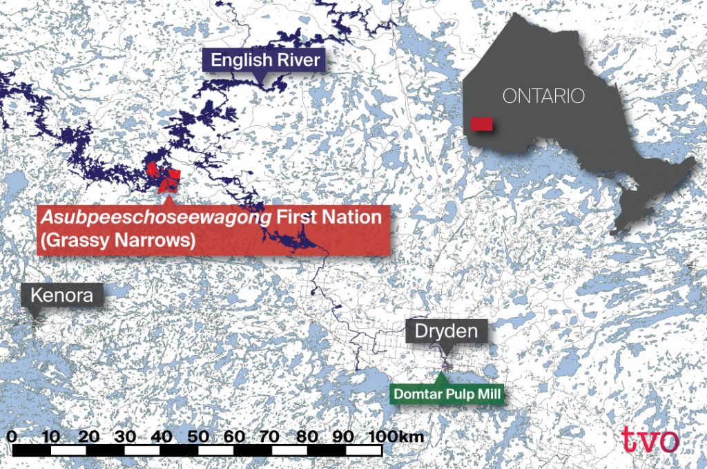 The Story of Grassy Narrows Watershed Sentinel