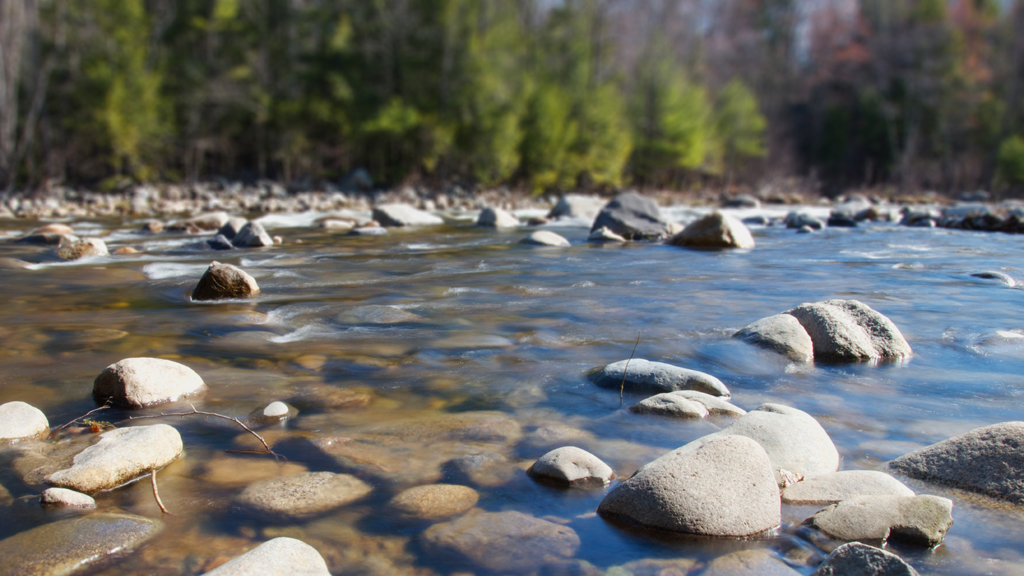 Downstream: Reimagining Water