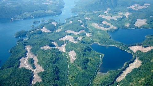 Aerial view of British Columbia forestry clear cuts
