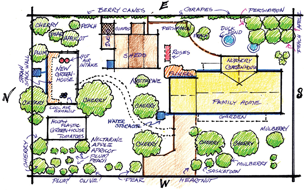 Permaculture illustration