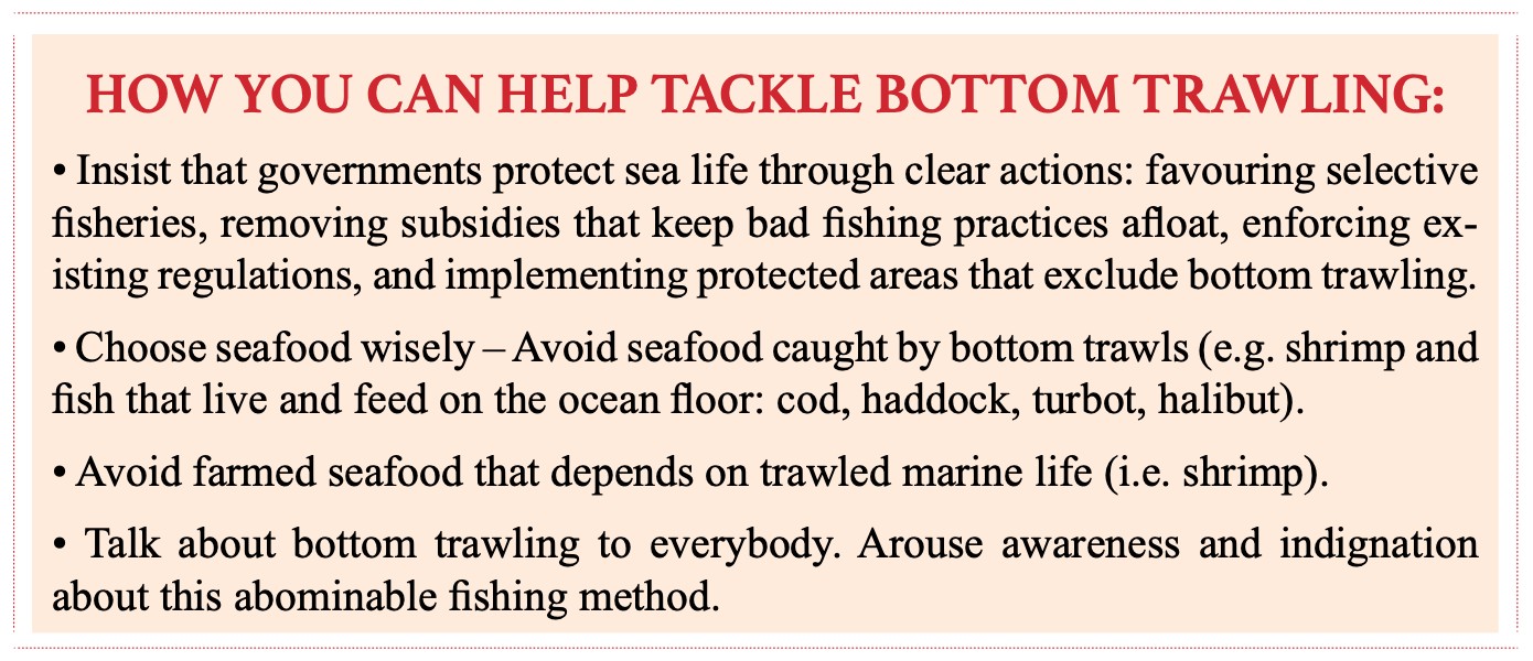 infographic - how you can help tackle bottom trawling