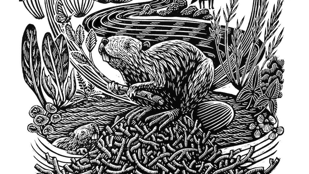 Beavers restoring wetlands. Detail, "Let the beaver do the work," by Roger Peet, Justseeds Artists' Cooperative