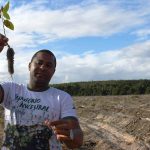 Célio Pinheiro Leocádio, standing in front of tree plantation clearcut, holds up a eucalyptus seedling