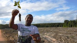 Célio Pinheiro Leocádio, standing in front of tree plantation clearcut, holds up a eucalyptus seedling