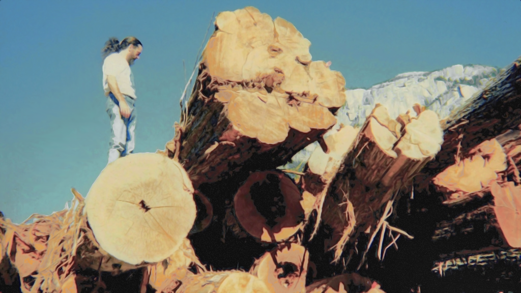 Rick at the Squamish log sort yard, 2001
