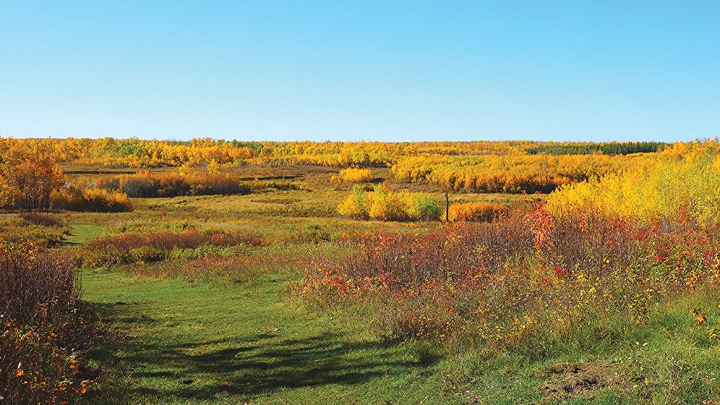 Elk Island National Park