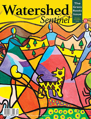 Watershed Sentinel | October-November 2025
