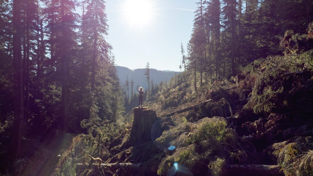 Protester standing on a tree stump at the Walbran Blockade 2025