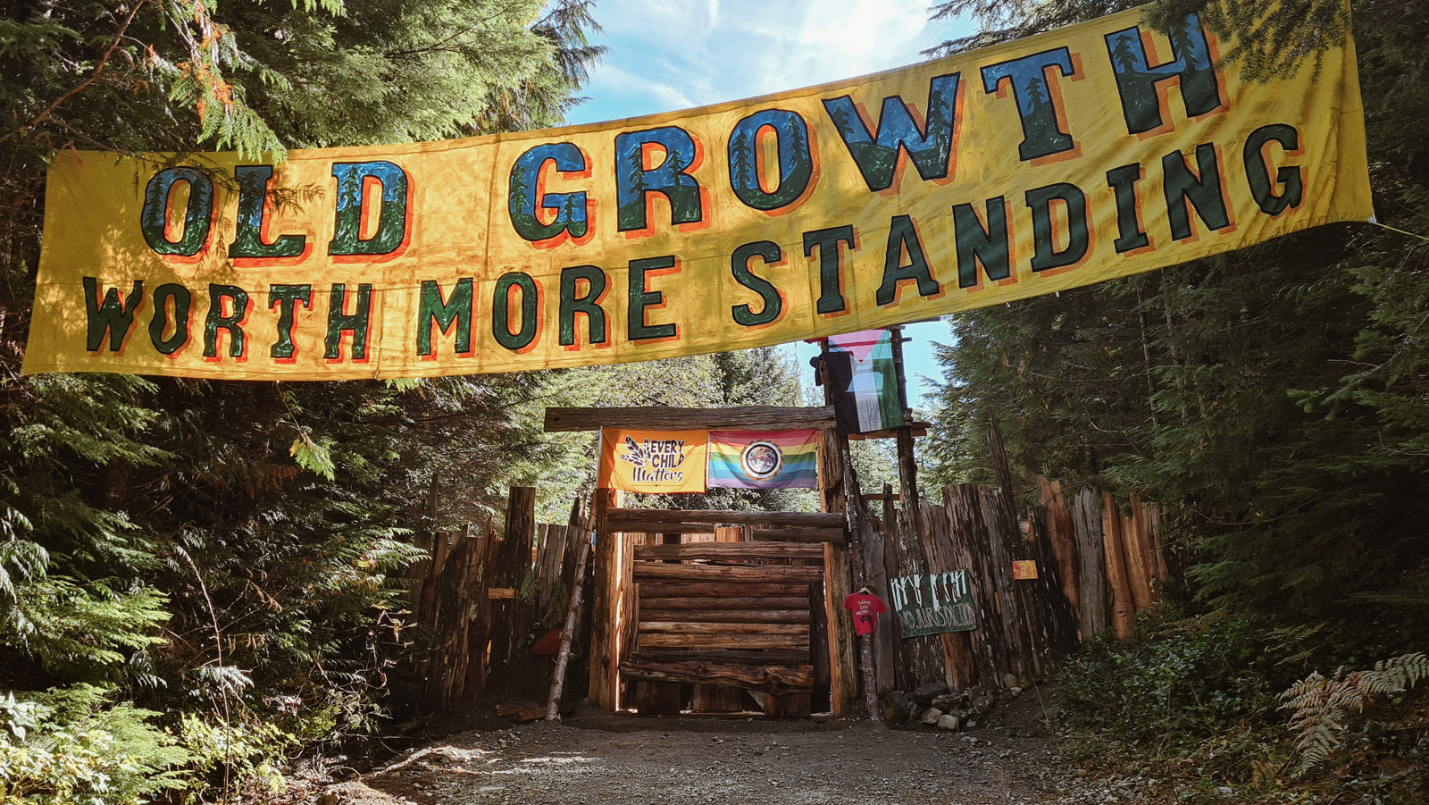 Watershed Sentinel - Walbran Blockade 2025 - Photo by Hazel Volk
