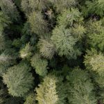 Tsitika Mountain by Hazel Volk