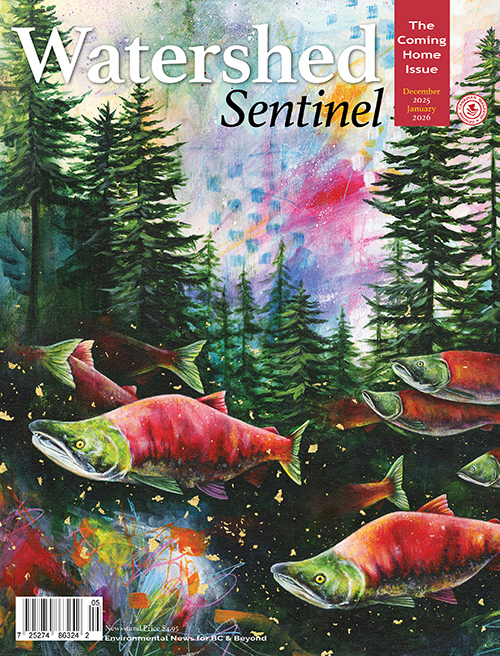 Watershed Sentinel | December 2005 -January 2026