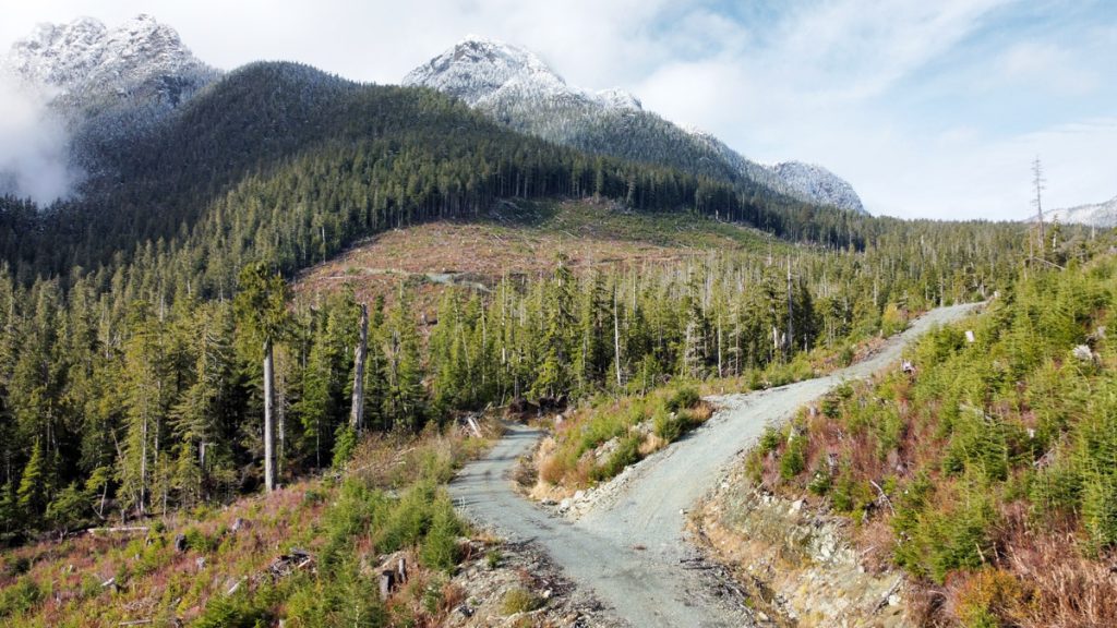 Tsitika Mountain logging