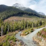 Tsitika Mountain logging