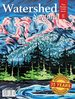 Watershed Sentinel April-May 2026