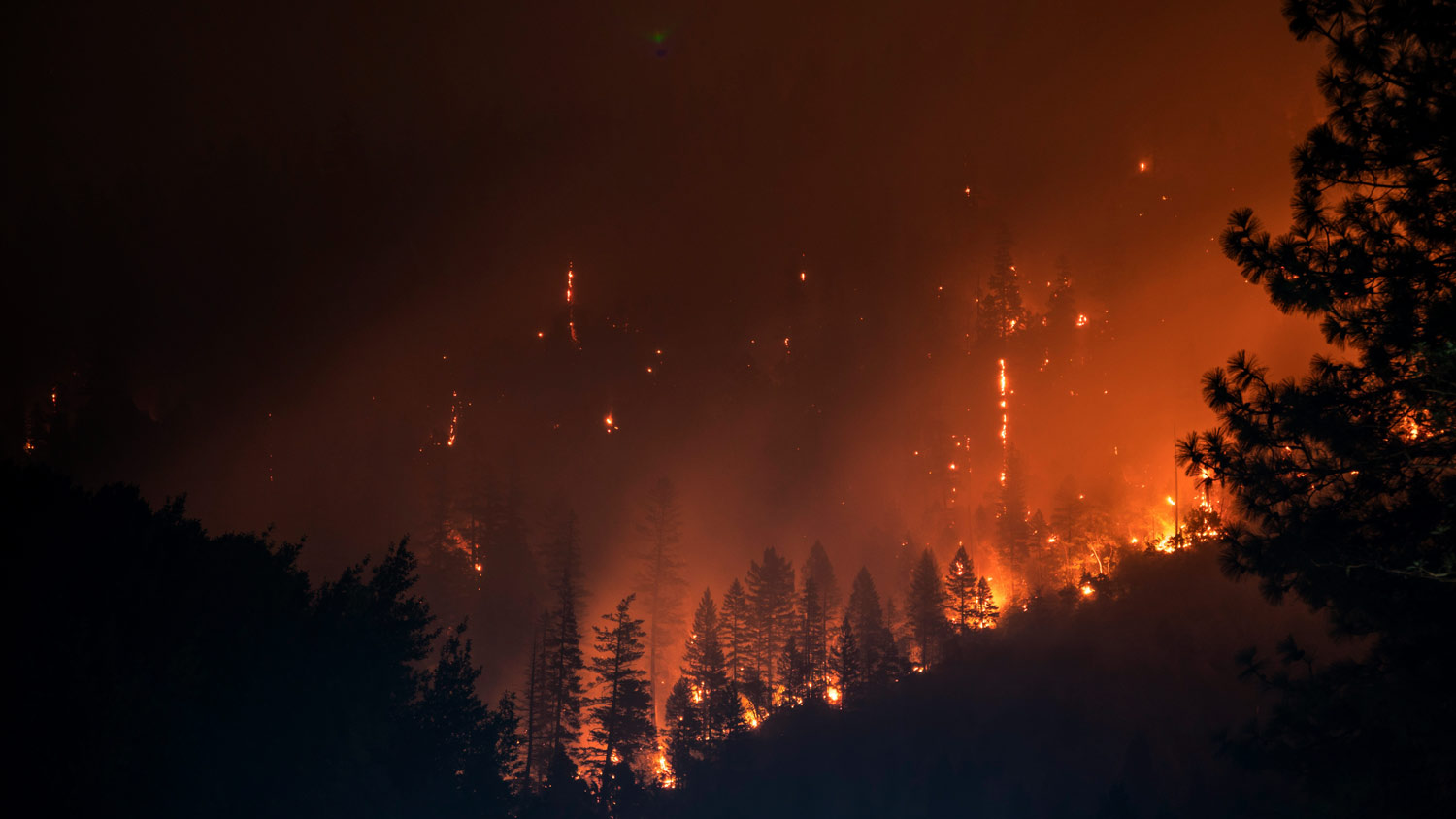 Wildfire by Matt Howard /Unsplash