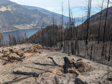 Photo by The Interior / Bush Creek Fire Adams Lake, BC
