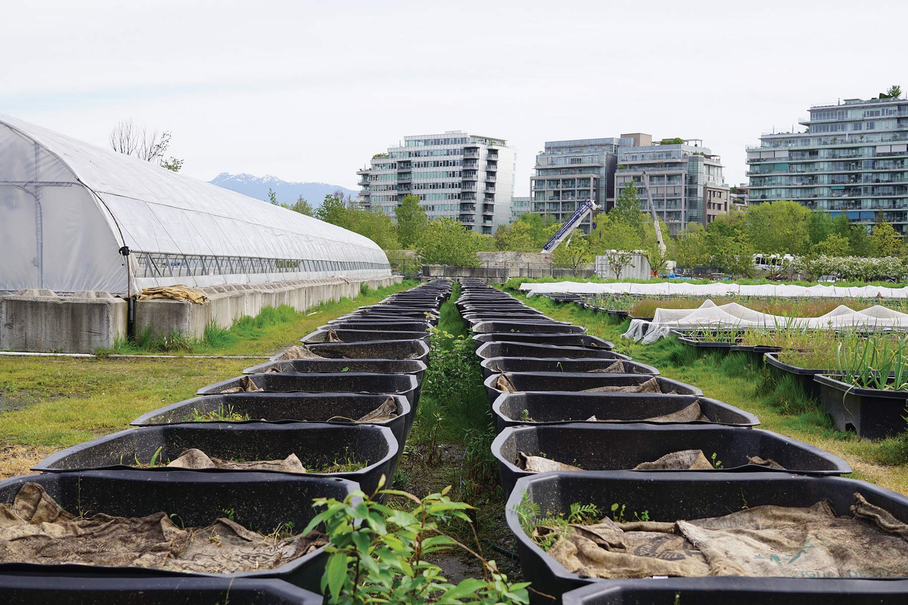Sole Food Street Farms, Vancouver