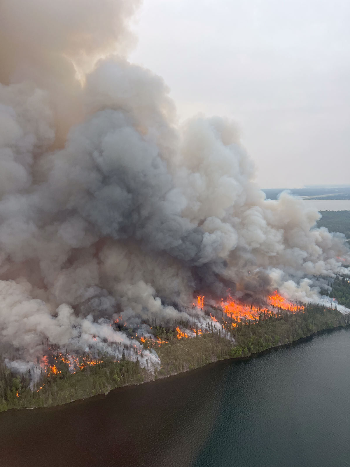Fire and Flood | Watershed Sentinel