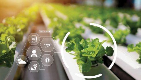 Sustainable Agriculture